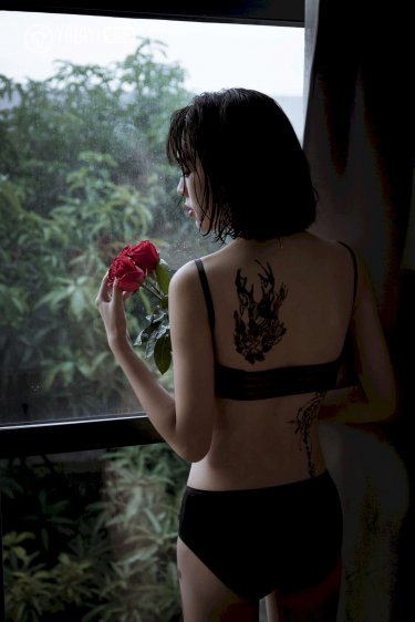 珠帘玉幕电视剧免费观看